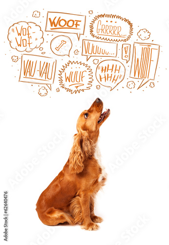 Fototapeta Naklejka Na Ścianę i Meble -  Cute dog with barking bubbles