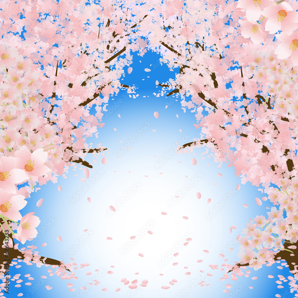 桜のトンネル 青空 桜のトンネル 青空