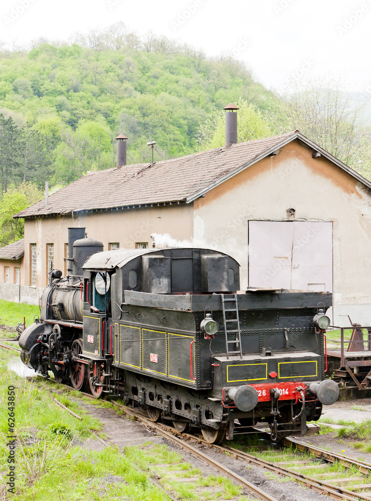 Obraz premium steam locomotive (126.014), Resavica, Serbia