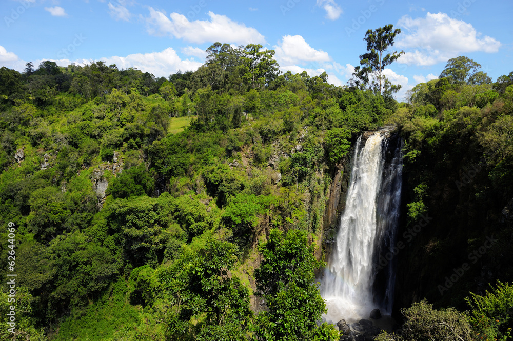 Obraz premium Thomson's Falls, Kenya