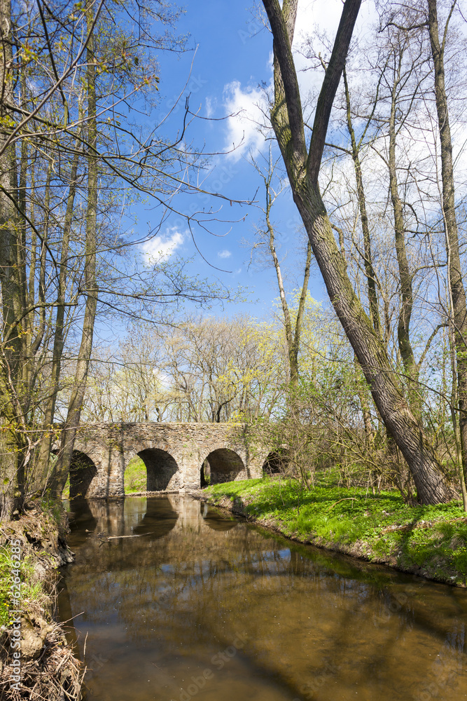 Fototapeta premium baroque bridge in Vlci Dul near Zasmuky, Czech Republic