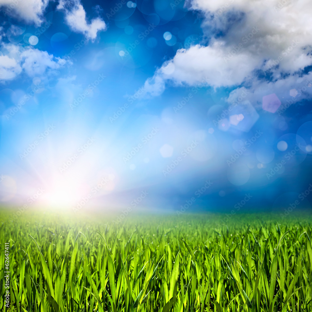 Gras, Sonne, Wolken und Lichteffekte