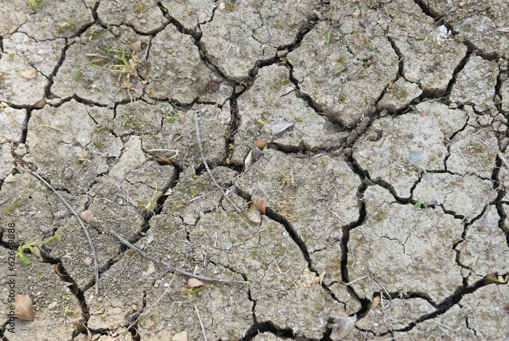 Arid ground Arid ground