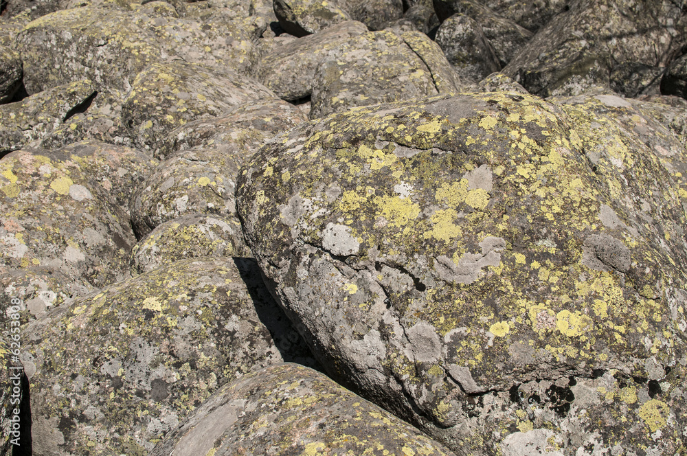 Old moraine rocks with moss closeup as background