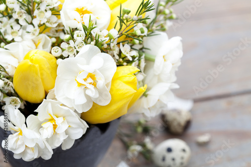 Fototapeta Naklejka Na Ścianę i Meble -  Spring flowers