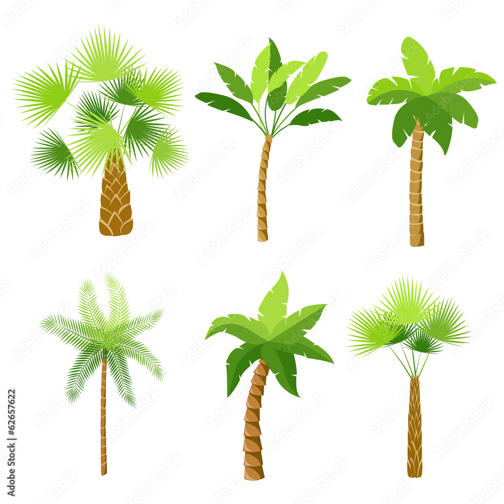 Obraz premium Decorative palm trees icons set
