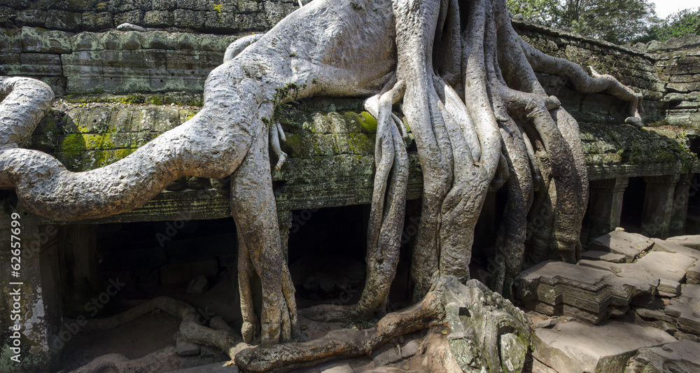 Angkor Wat - Indianer Jones | Tomb Raider Tempel