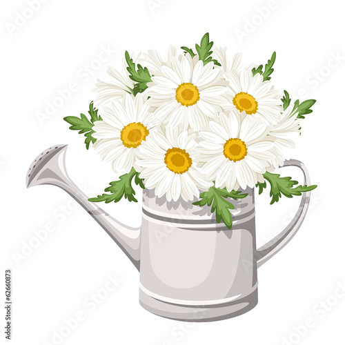 Bouquet of daisies in watering can. Vector illustration.