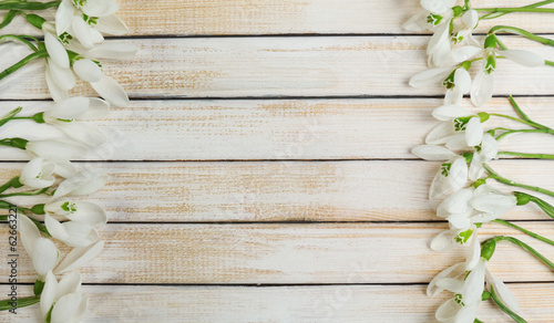 Beautiful snowdrops on wooden background