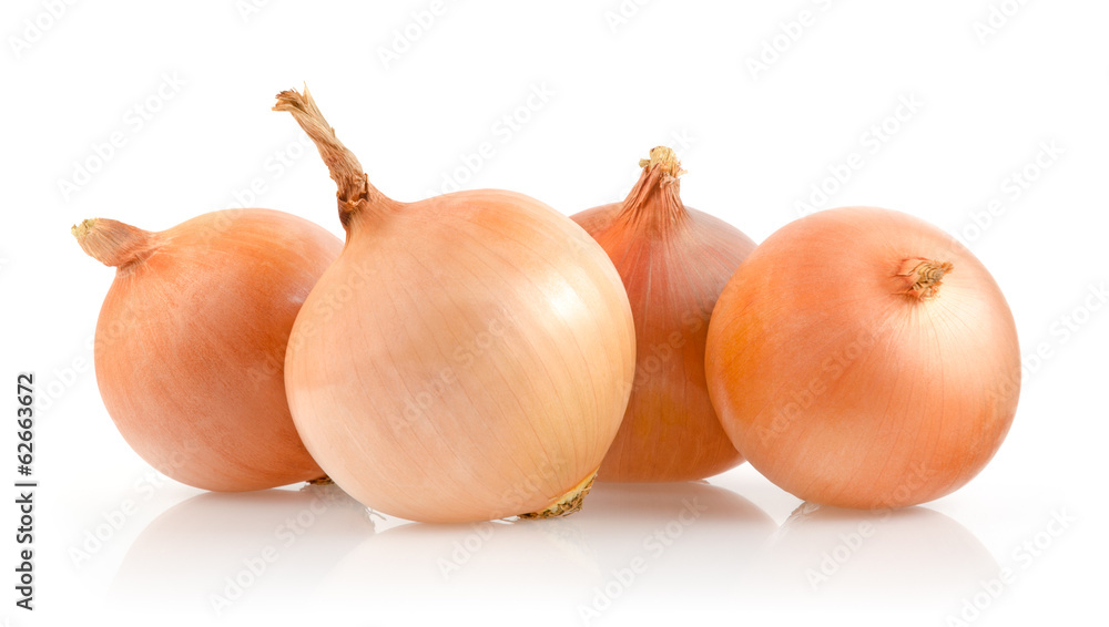 Onions Isolated on White Background Onions Isolated on White Background