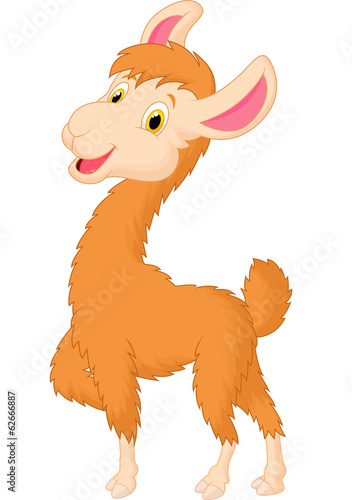 Happy llama cartoon