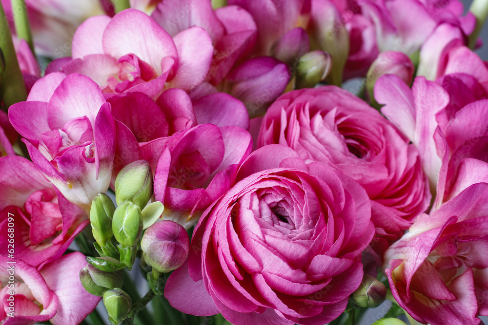 Bouquet of pink freesia flowers and pink persian buttercup Bouquet of pink freesia flowers and pink persian buttercup