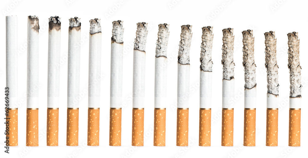 Set of Cigarettes During Different Stages of Burn. Stock Photo Adobe