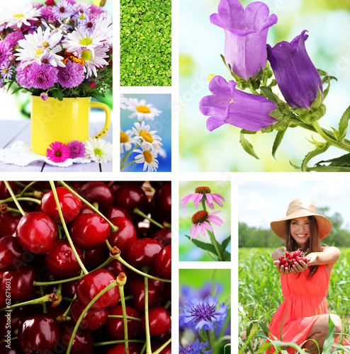 Collage of summer time