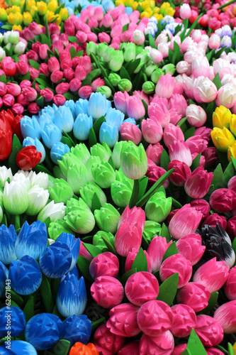 Photography Pays-bas - Tulipes en bois,