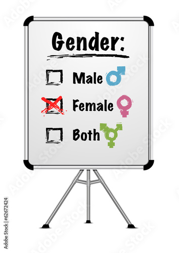 whiteboard gender