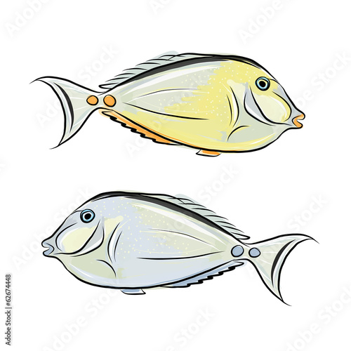 Fish sketch for your design