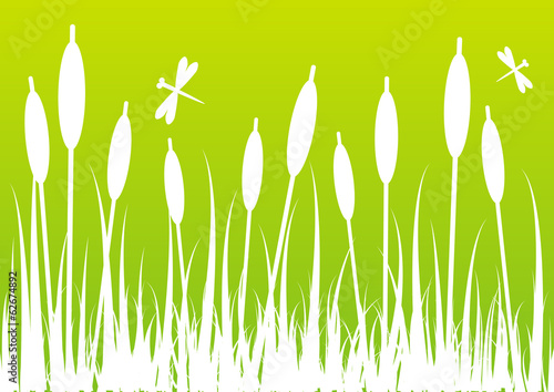 Green bacground for Your design