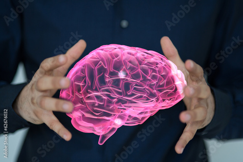 brain