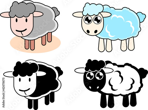 Sheep