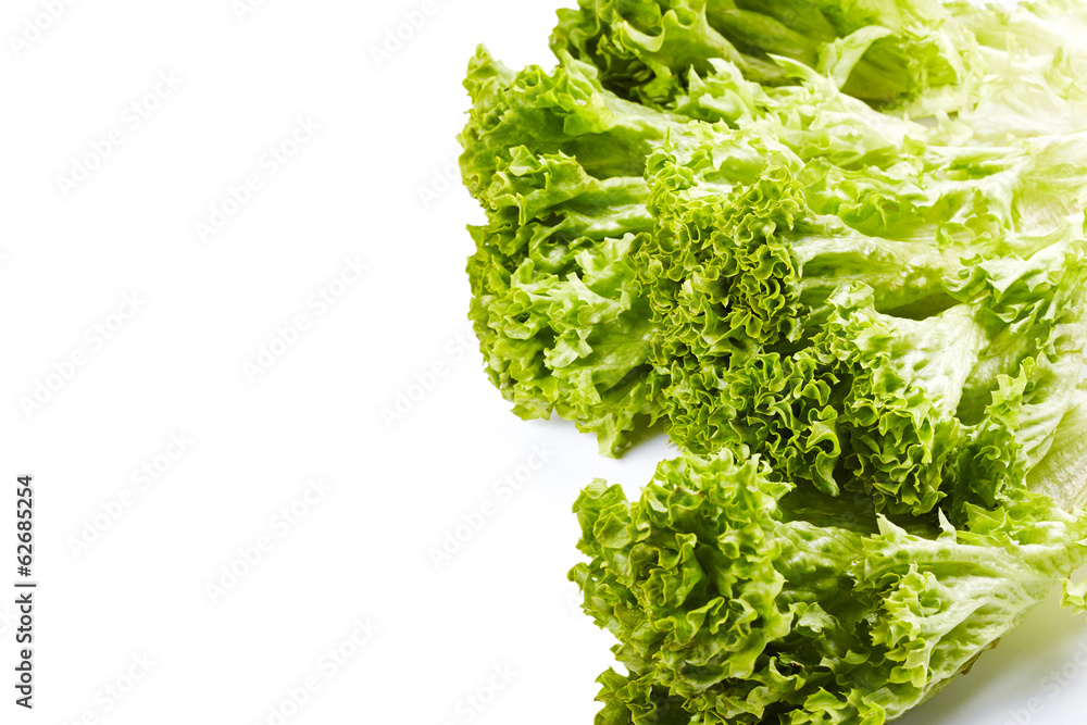 Obraz premium Lettuce isolated on white background
