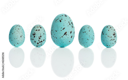 Row Of Blue Eggs
