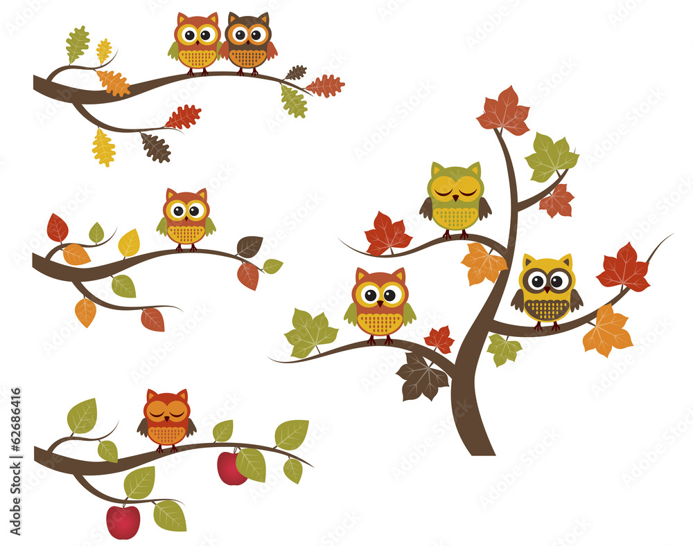 Obraz premium Fall owls on branches