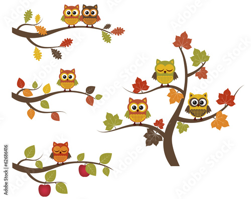 Fall owls on branches