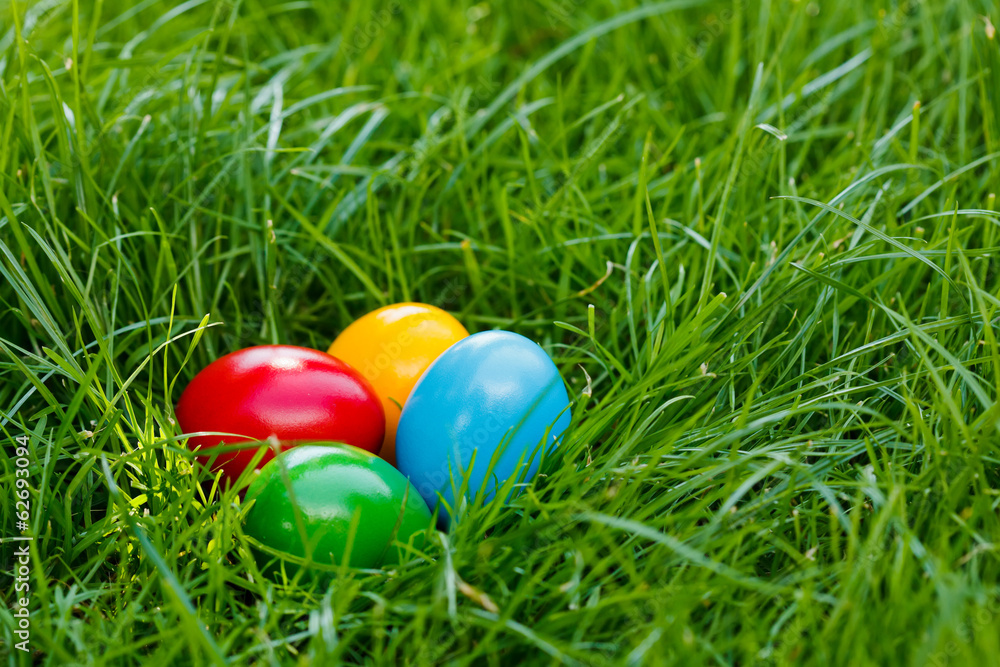 Colorful easter eggs in grass