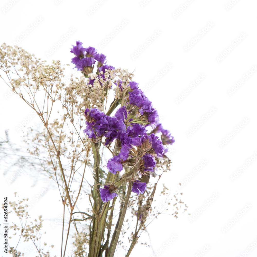 Fototapeta premium Beautiful flowers