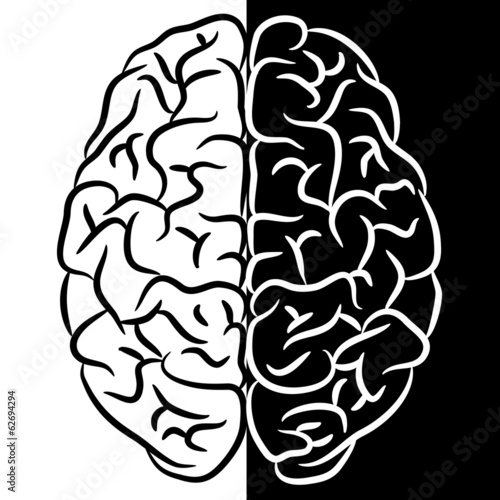 Brain shape