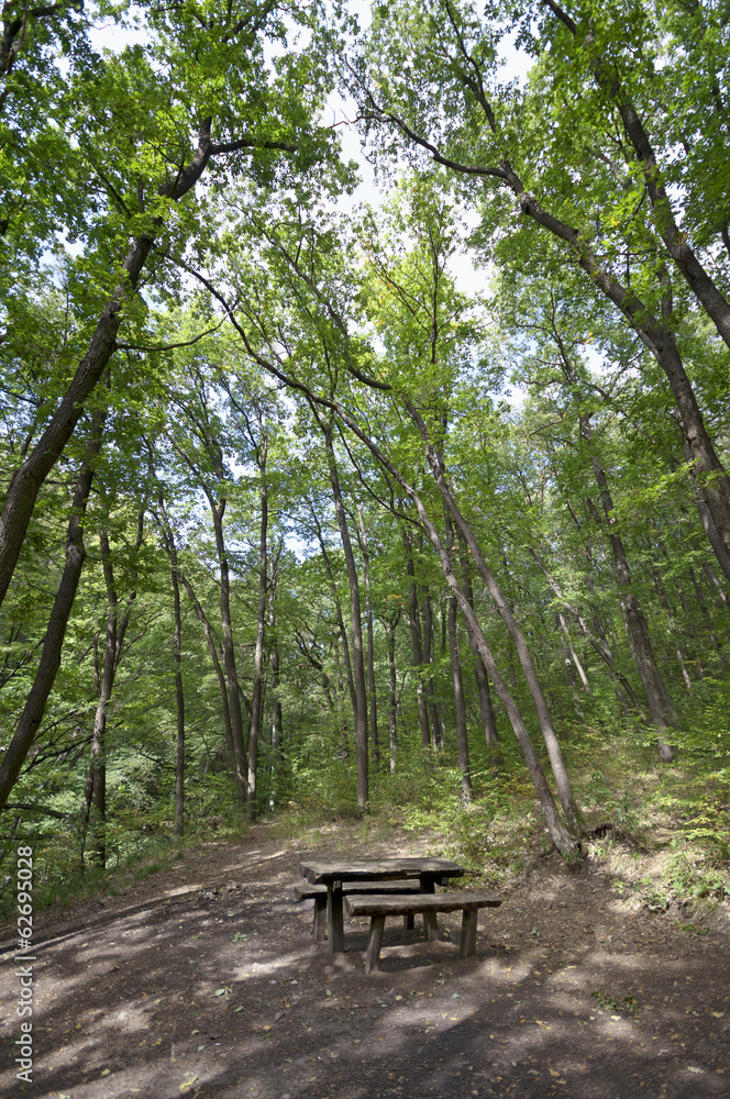 Forest resting area with table Forest resting area with table