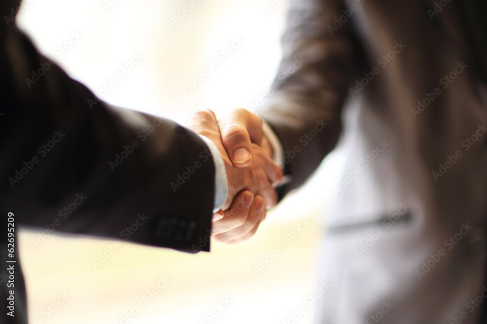 Fototapeta premium handshake in office