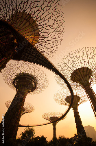 Silhouette of Supertree at Gardens by the Bay