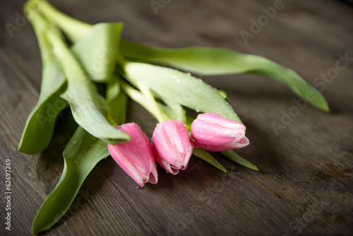 Tulips with some water splash on a wood table