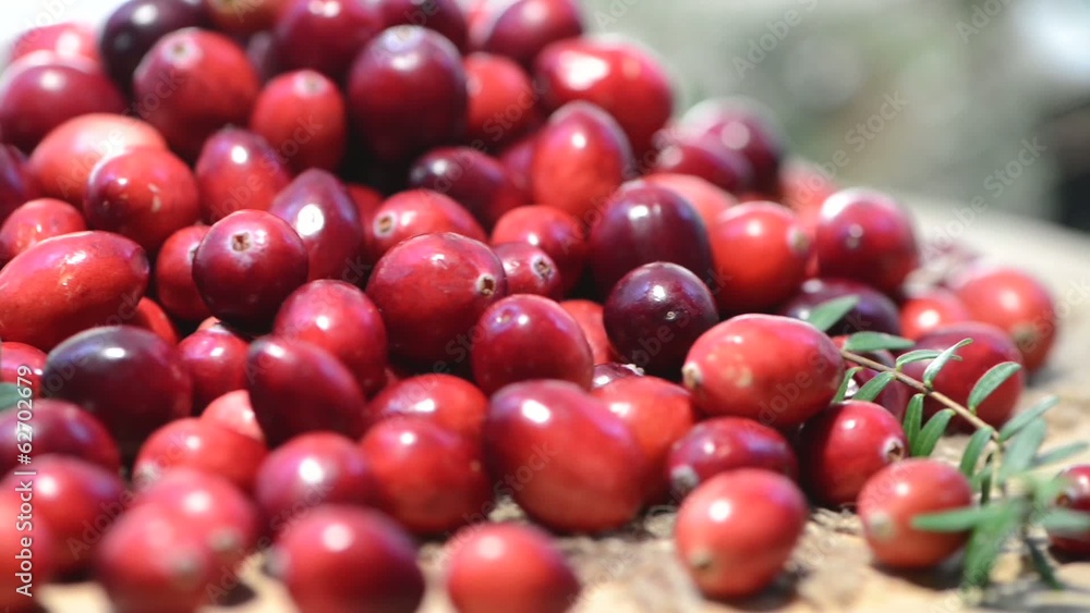 Rotating Cranberries (loopable) Rotating Cranberries (loopable)