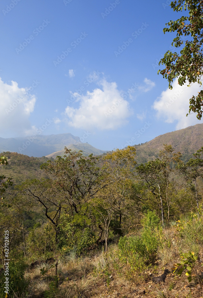 nilgiri hills