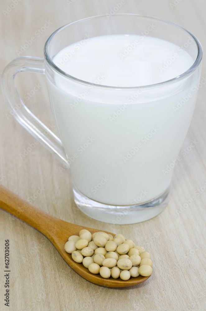Fresh soy milk and raw soy bean