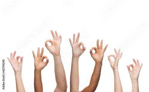 human hands showing ok sign