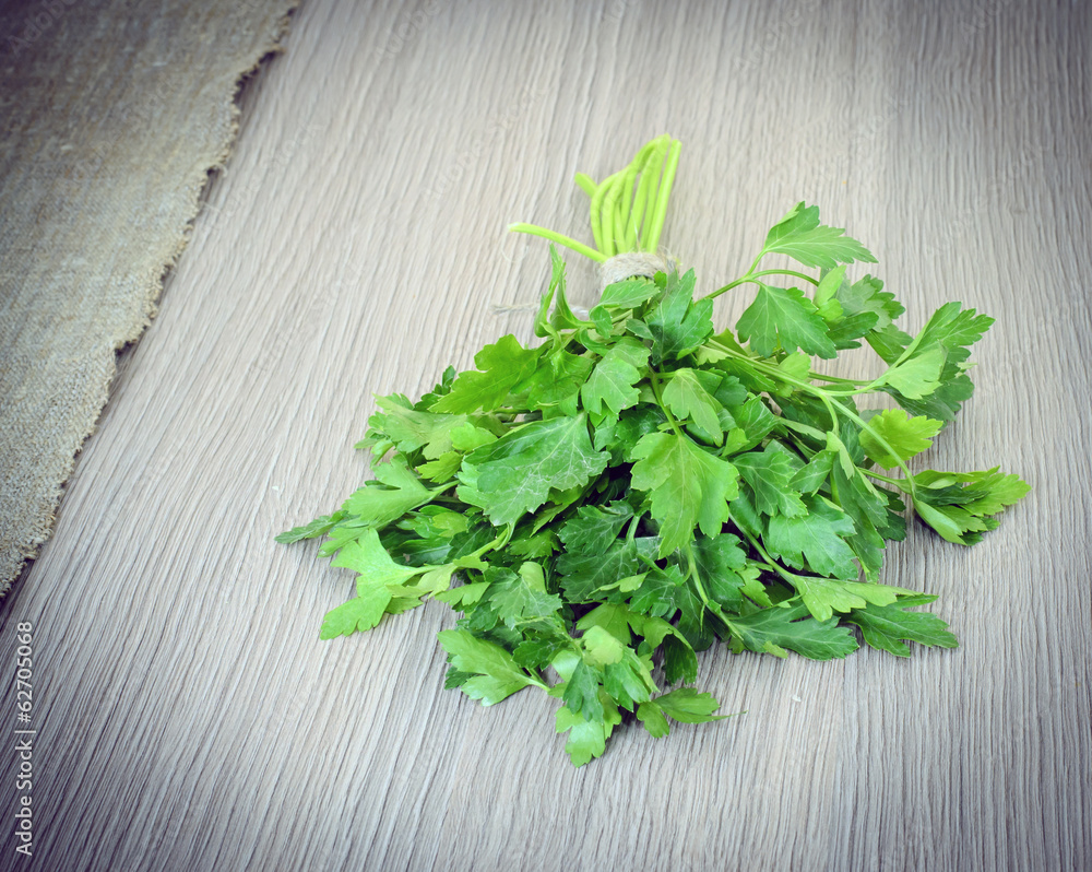 Fresh Green Parsley over Woody Old Background Fresh Green Parsley over Woody Old Background