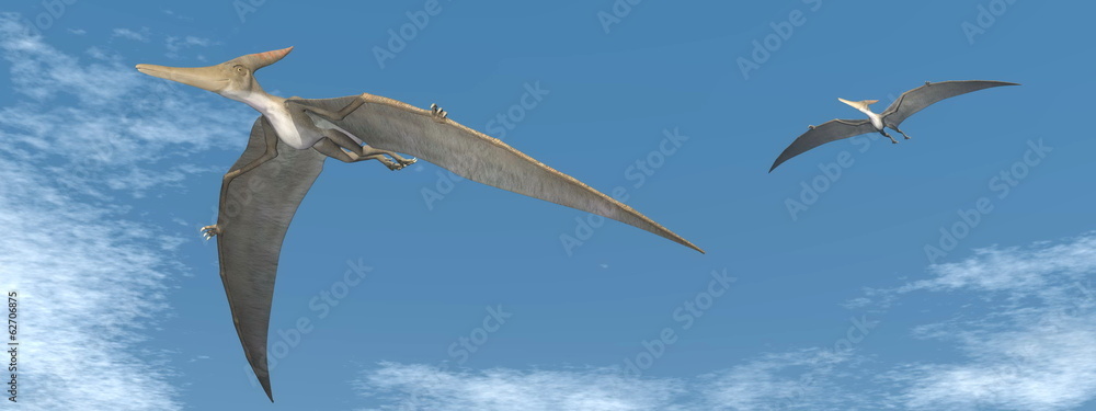 Naklejka premium Pteranodon latające dinozaury - renderowania 3D