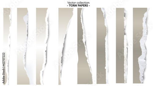 Collection of torn papers