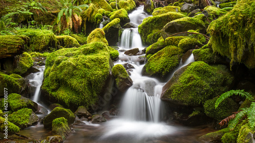 Green moss covered rocks along a stream on the way to Sol Duc falls in the rain forest of Olympic National park, Washington photo