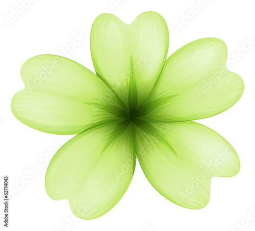 A light green flower