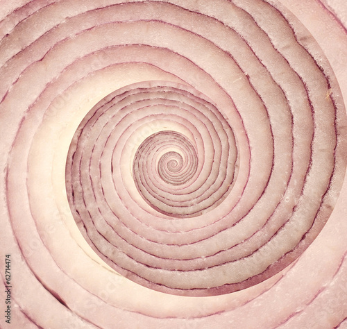 Schilderij op canvas Onion infinity spiral abstract background. Fibonacci