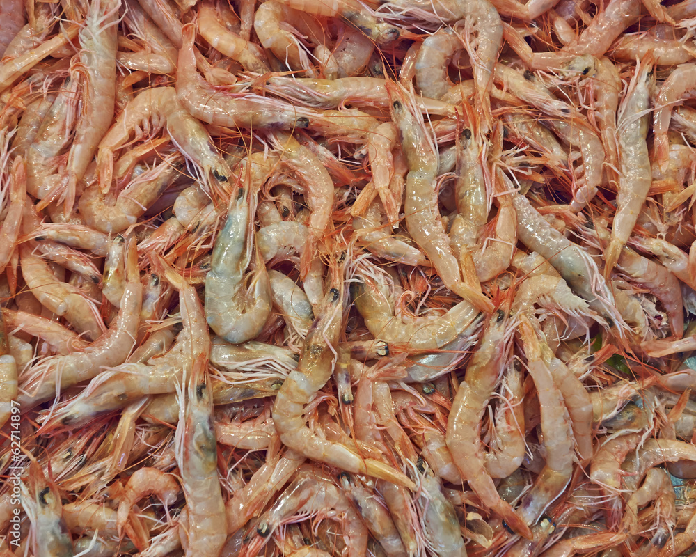 fresh shrimps for sale at the central market fresh shrimps for sale at the central market