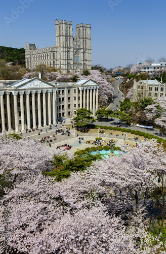 Korea spring