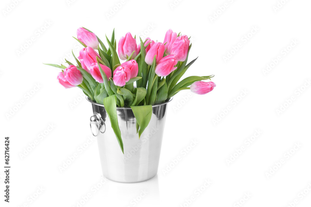 pink tulips