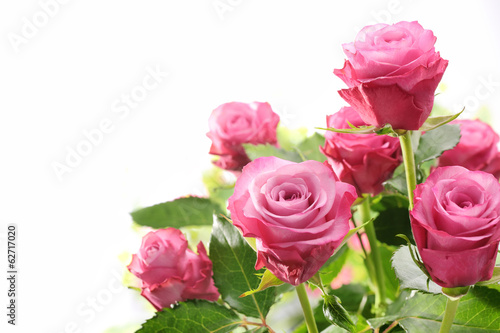 Pink roses bouquet © powerstock