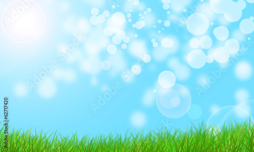 Nature Background With Grass And Bokeh